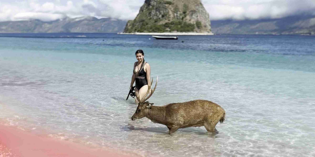 KomodoLuxury's guest with a deer on Pink Beach