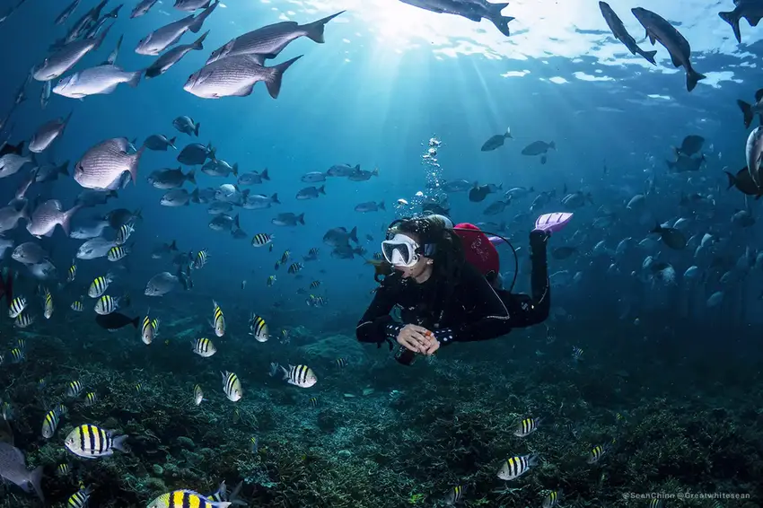 Diving in Raja Ampat by Komodo Luxury