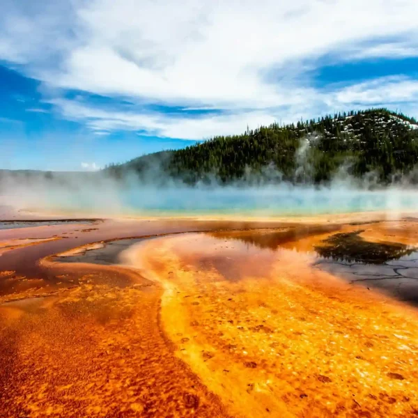 Yellowstone vs. Komodo – Which Adventure is Perfect for You?