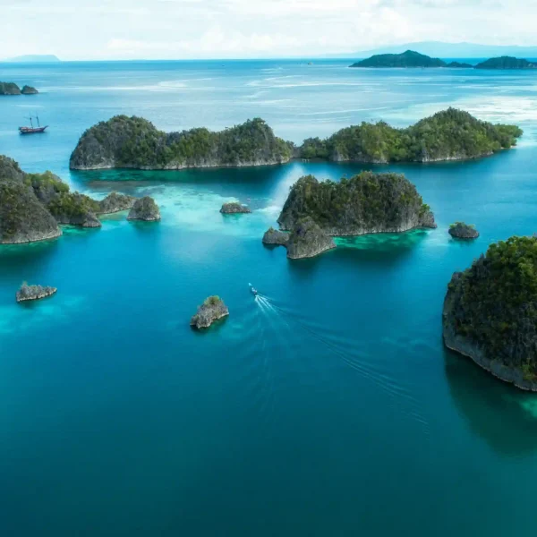 Exploring the Wonders of Salawati Raja Ampat