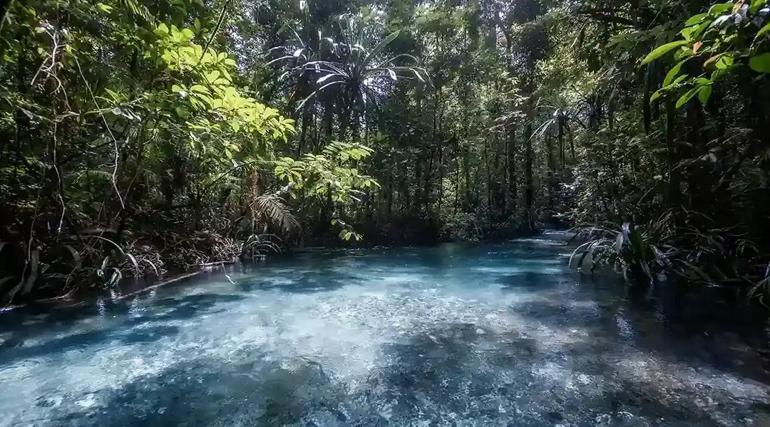 Escape to Kali Biru a Hidden Turquoise Treasure in The Heart of Raja Ampat