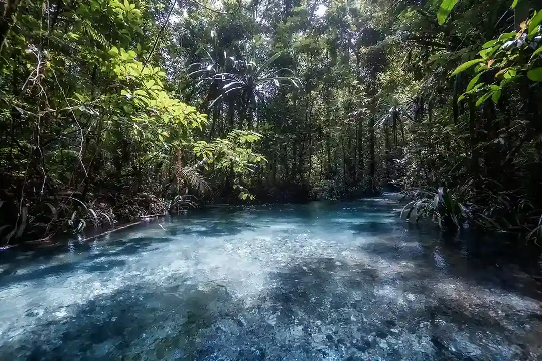 Kali Biru, Raja Ampat - KomodoLuxury