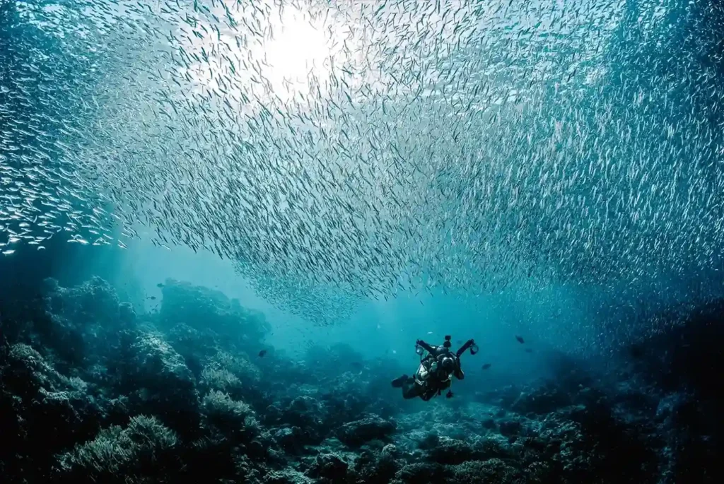 Underwater Komodo Island