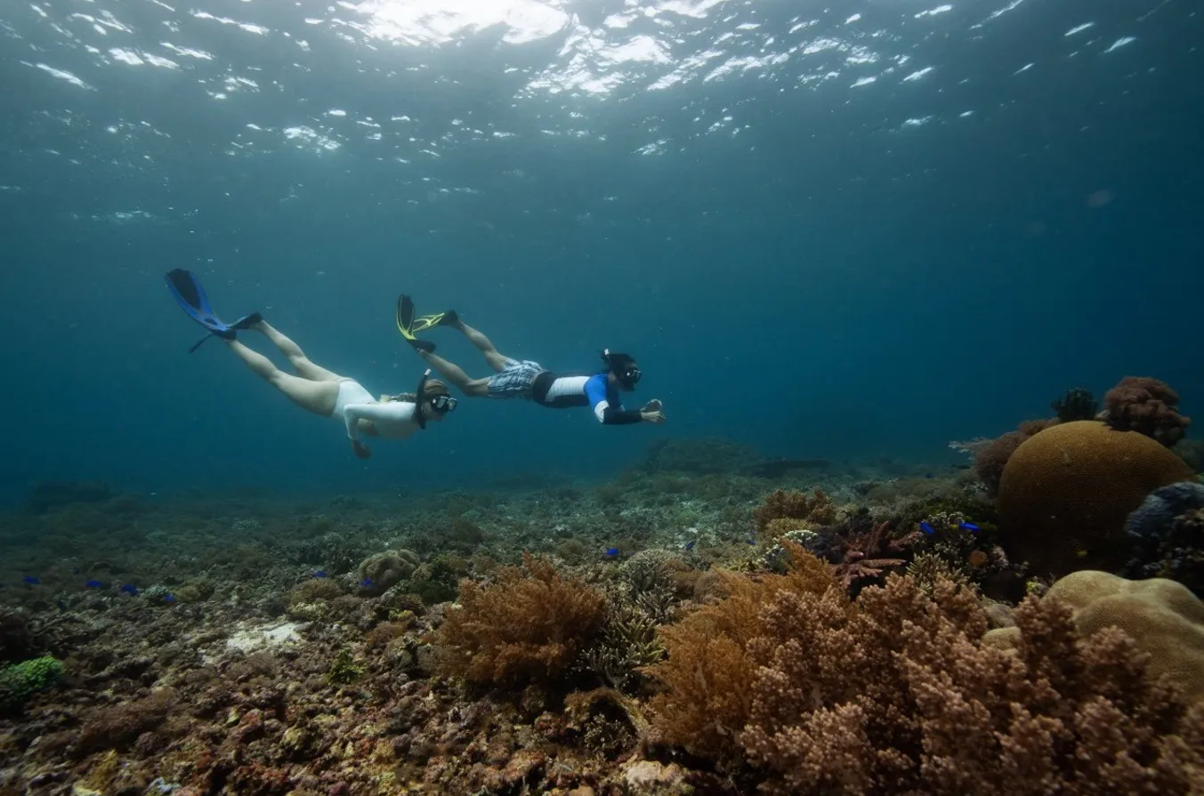 Snorkeling in Raja Ampat