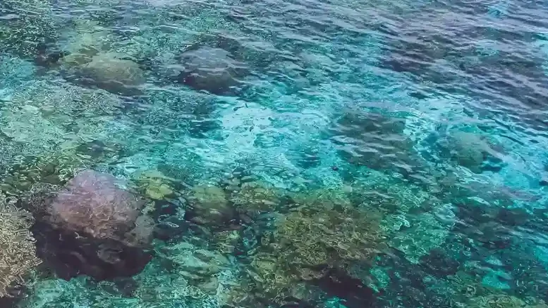 Sauwandarek Island, Raja Ampat - KomodoLuxury