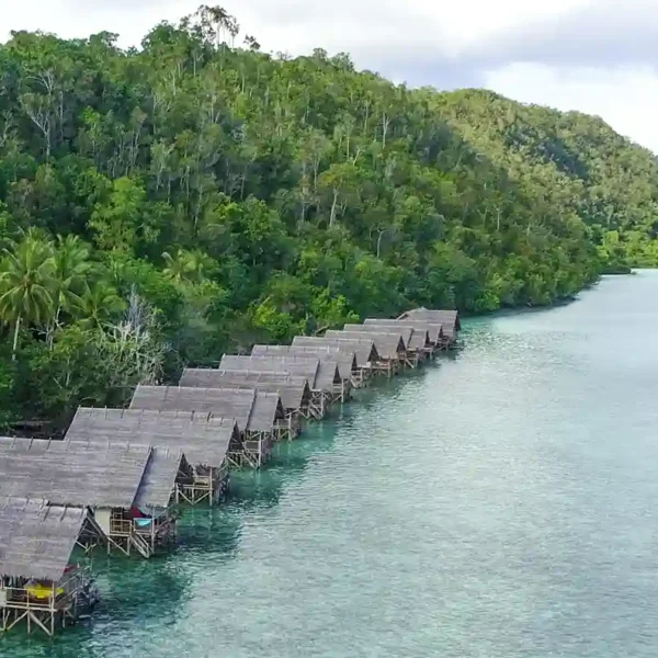 Sauwandarek Village: An Eco-Tourism Haven in Raja Ampat