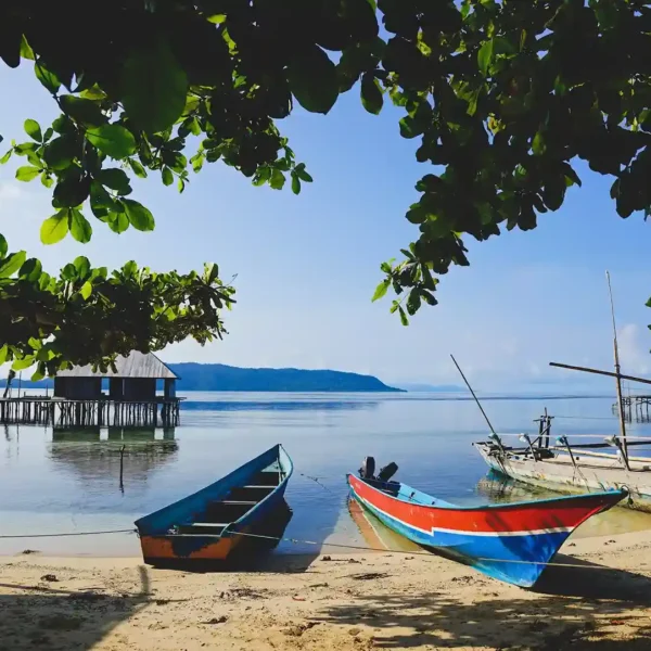 Sawinggrai Village: Your Exclusive Front-Row Seat to the Red Bird of Paradise in Raja Ampat!