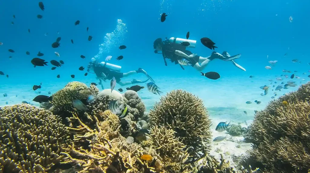 Diving | Komodo National Park | Komodo Luxury