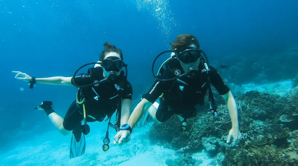 Diving | Komodo National Park | Komodo Luxury