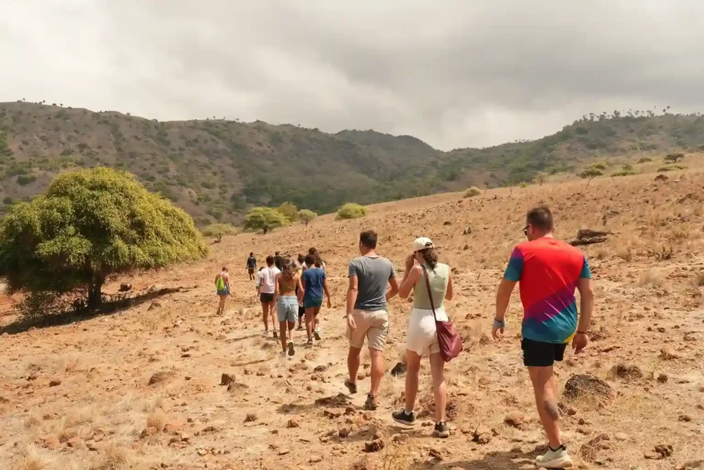 Trekking at Komodo Island | Komodo National Park | Komodo Luxury