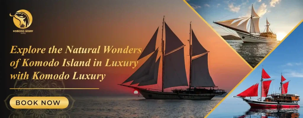 Banner Komodo Island Tour Package | Komodo Luxury