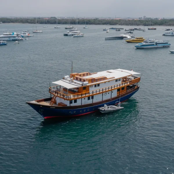 Rascal Yacht Cruise Phinisi | Komodo National Park | Komodo Luxury