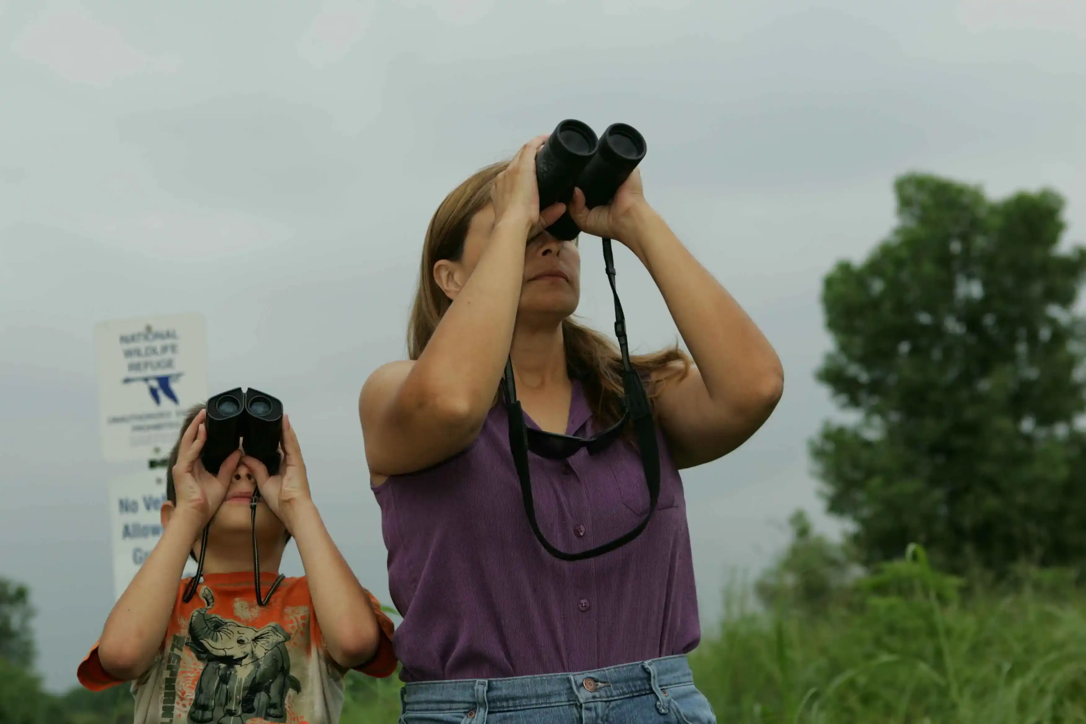 Birdwatching Activity | Raja Ampat Tour | Komodo Island Tour | Komodo Luxury