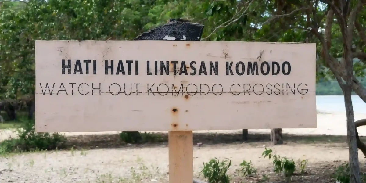 Komodo Island Sign | Komodo National Park | Komodo Luxury