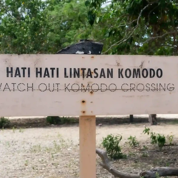 Do Humans Live on Komodo Island?