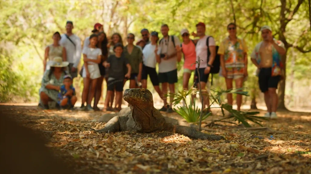 See Komodo Dragons on Komodo Island | Catnazse Cruise Liveaboard Phinisi | Komodo Luxury