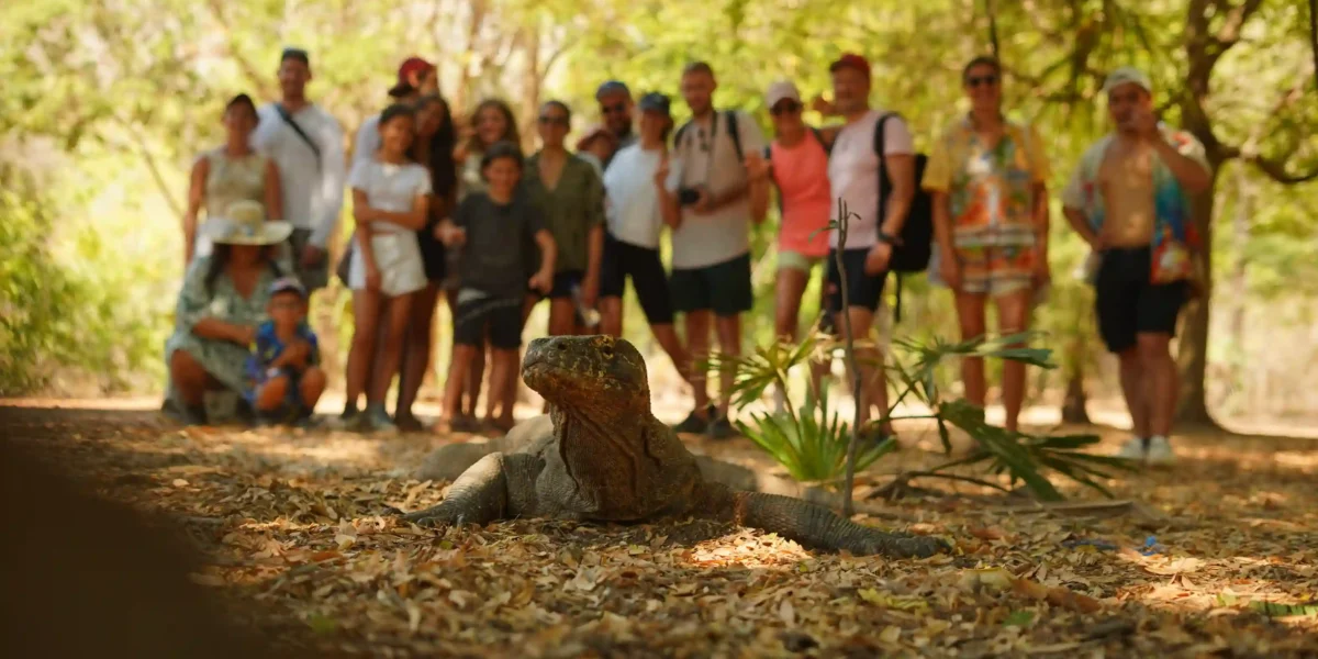 First-Time Guide to Komodo Island for Australians