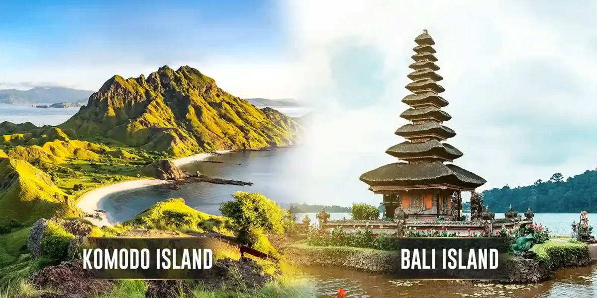 Bali and Komodo Island: Main Differences and Why You Should Visit Both