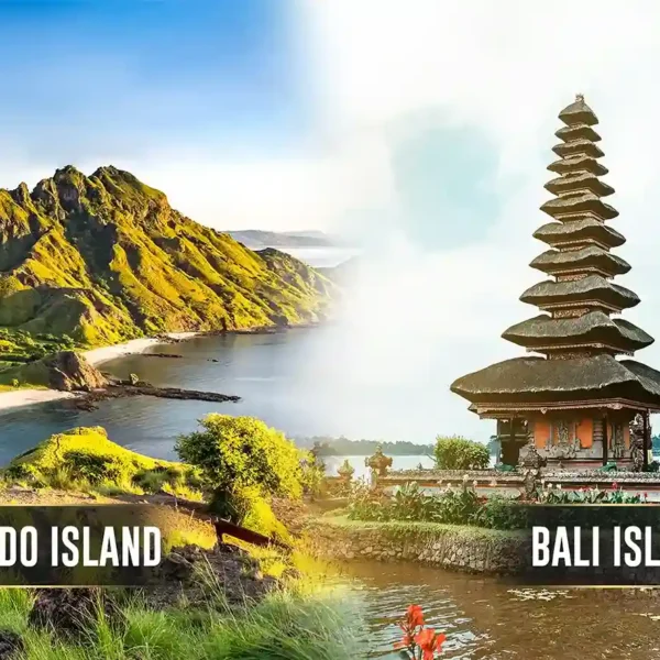 Bali and Komodo Island: Main Differences and Why You Should Visit Both