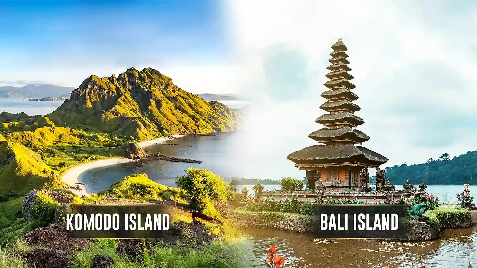 Bali and Komodo Island | Komodo Luxury