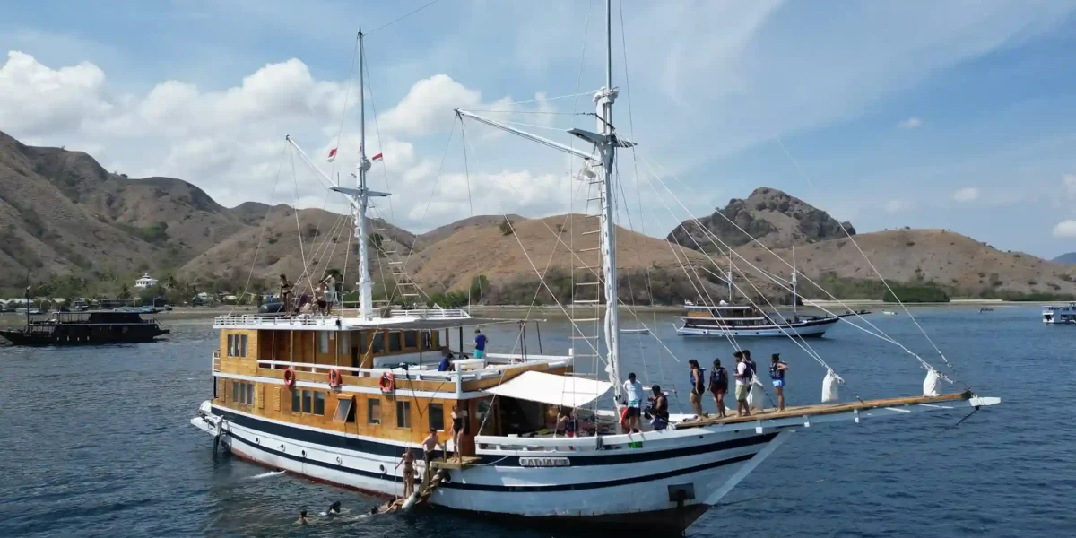 Komodo Island Tour: Private vs. Open/Share Trips – Which Suits You Best?