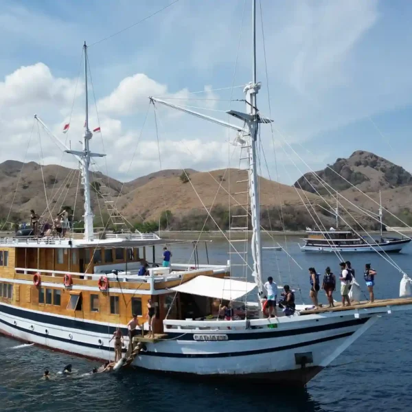 Komodo Island Tour: Private vs. Open/Share Trips – Which Suits You Best?