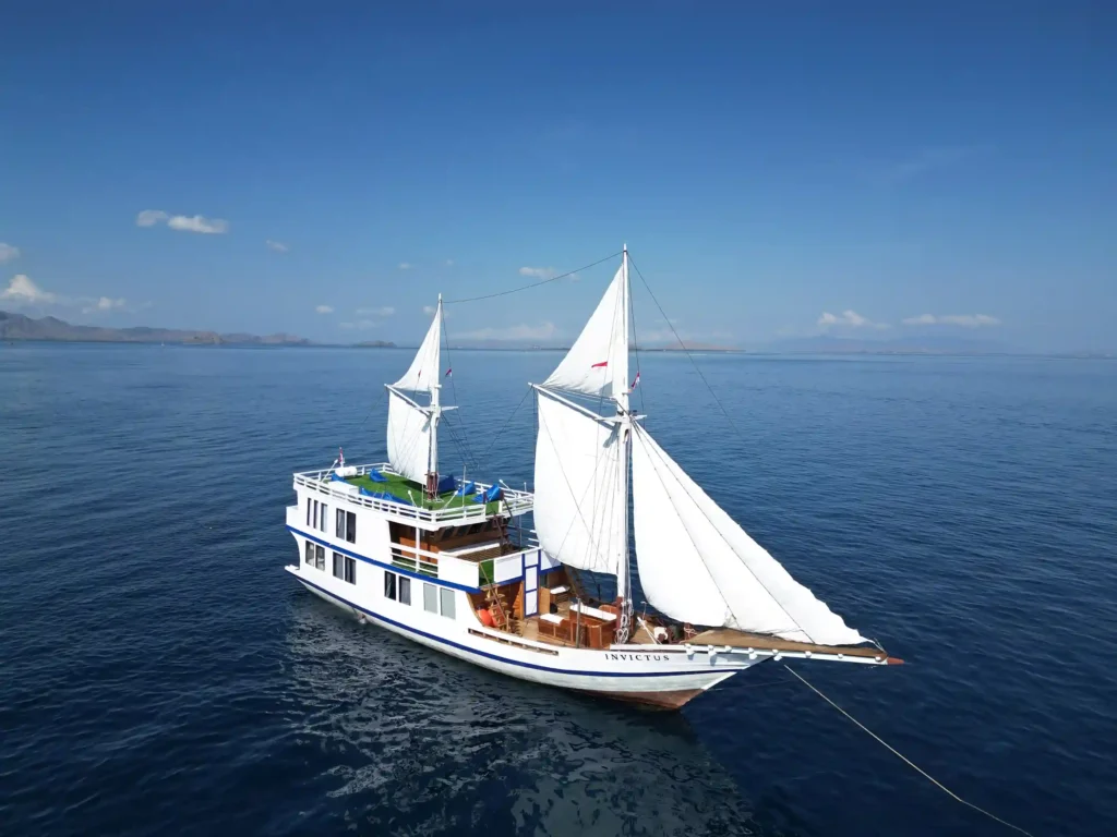 Invictus Cruise Voyage Phinisi | Komodo National Park | Komodo Luxury