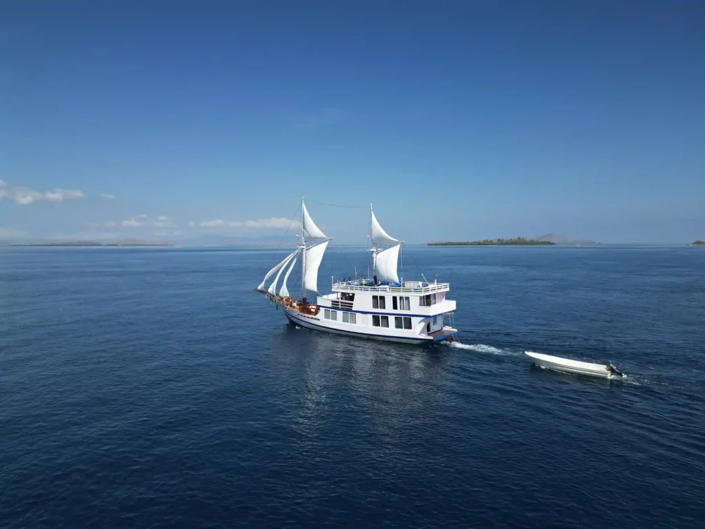 Invictus Cruise Voyage Phinisi | Komodo National Park | Komodo Luxury