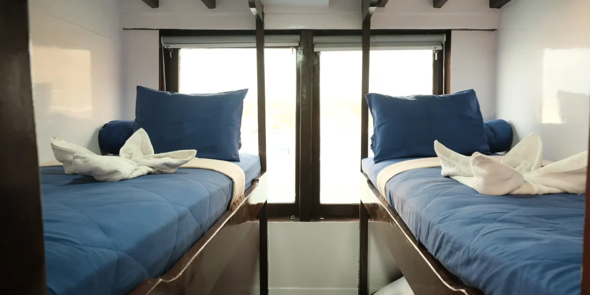 Sharing Cabin Sea View on Invictus Cruise Voyage Phinisi | Komodo National Park | Komodo Luxury