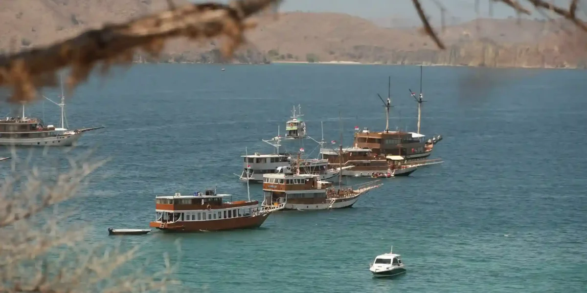 Drone view of Komodo Island | Komodo Luxury