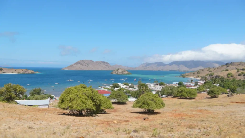 Komodo Island | Komodo Luxury