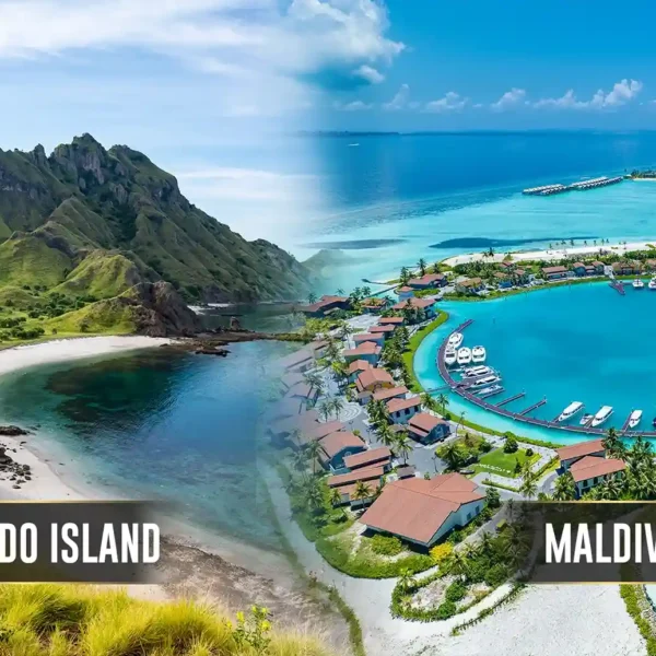 Komodo Island or Maldives? Find Your Perfect Tropical Escape