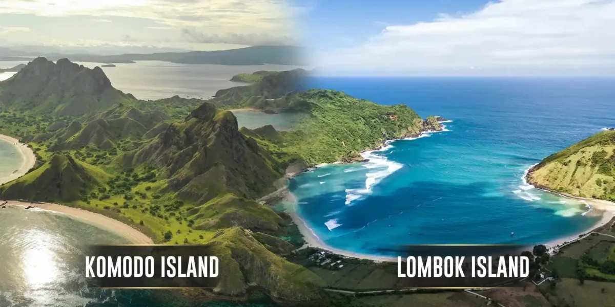 Komodo Island vs Lombok: Exploring Indonesia’s Hidden Gems