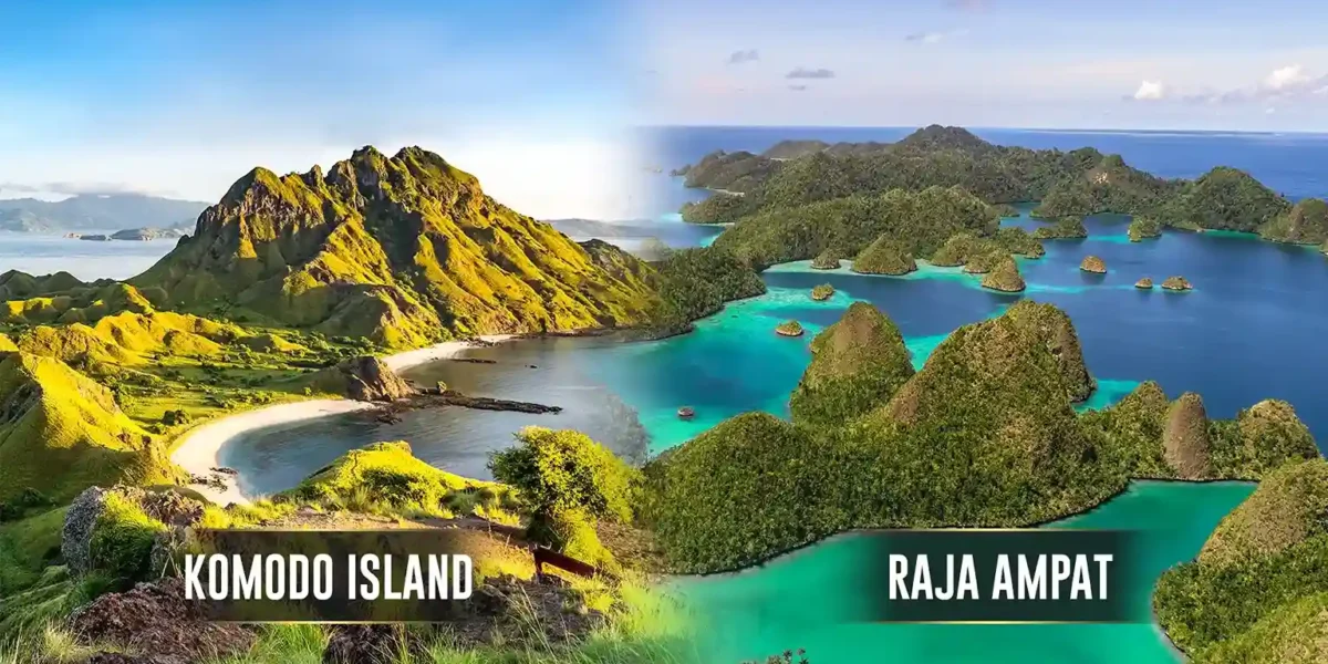 Komodo Island vs Raja Ampat | Komodo Luxury