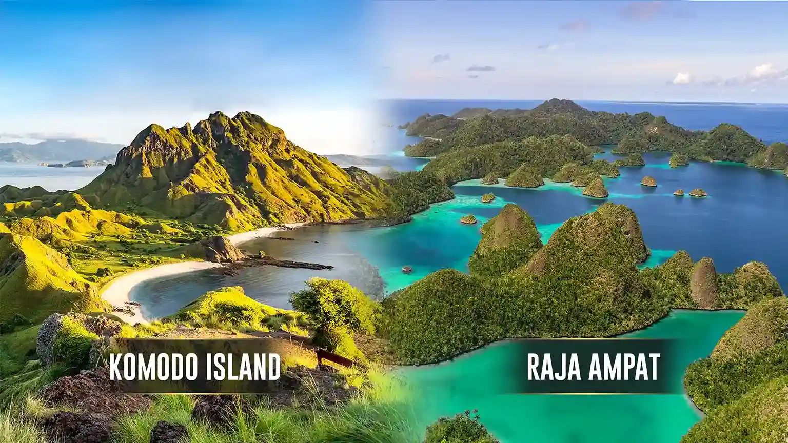 Komodo Island vs Raja Ampat | Komodo Luxury