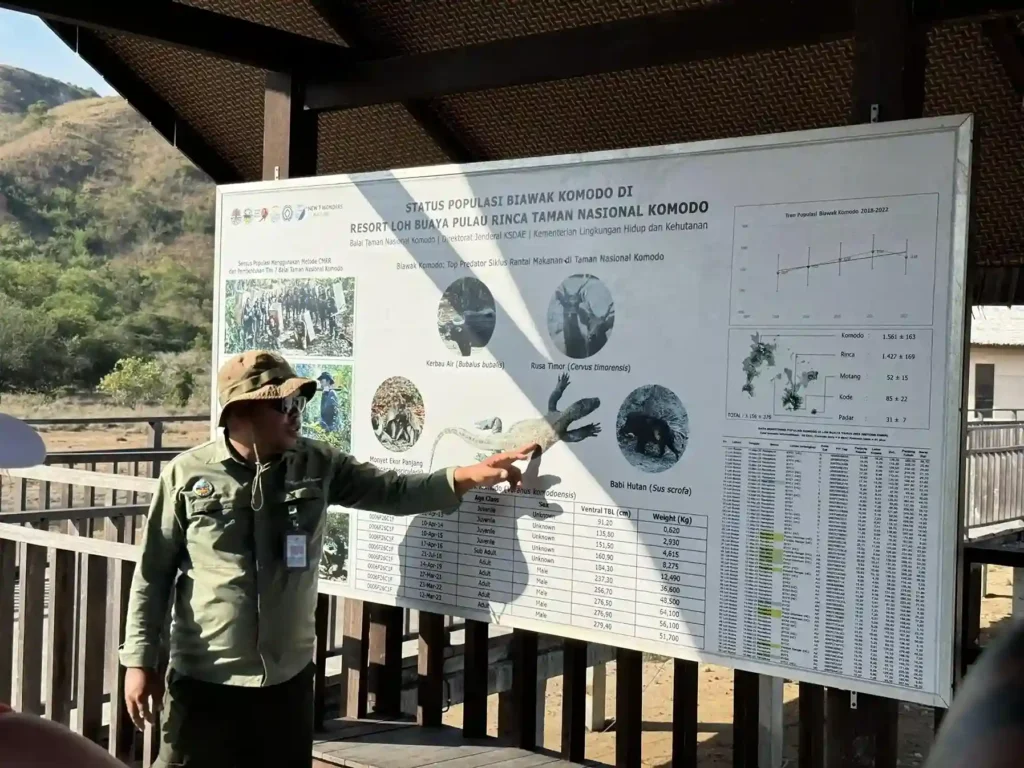 Ranger on Komodo Island | Komodo National Park | Komodo Luxury