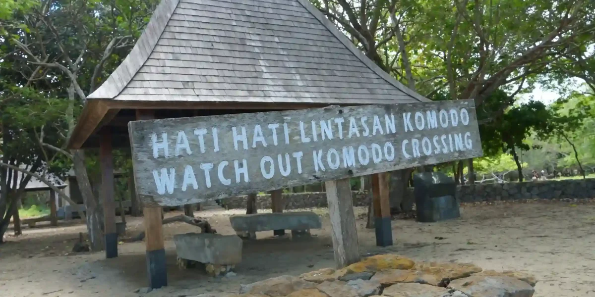 Do Komodo Dragons Live in Bali? Here’s Where You Can Find Them!