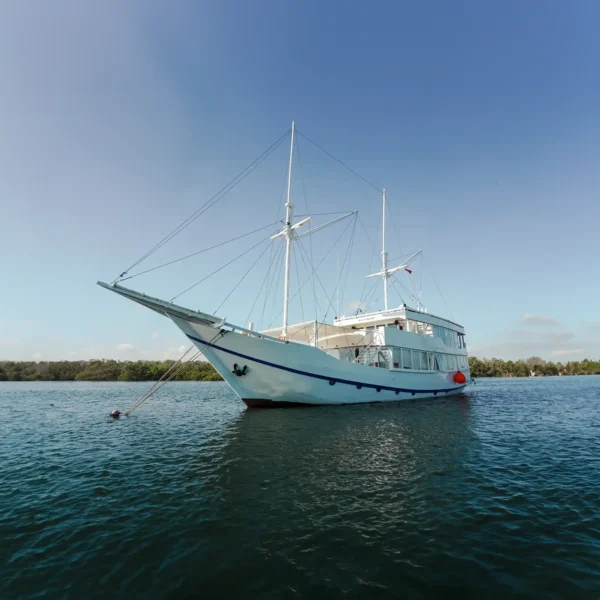 Mosalaki Yacht Cruise Phinisi | Komodo National Park | Komodo Luxury