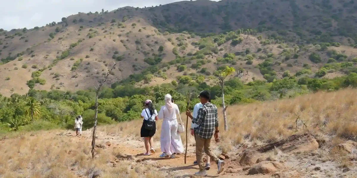 Trekking Track on Rinca Island | Komodo Luxury