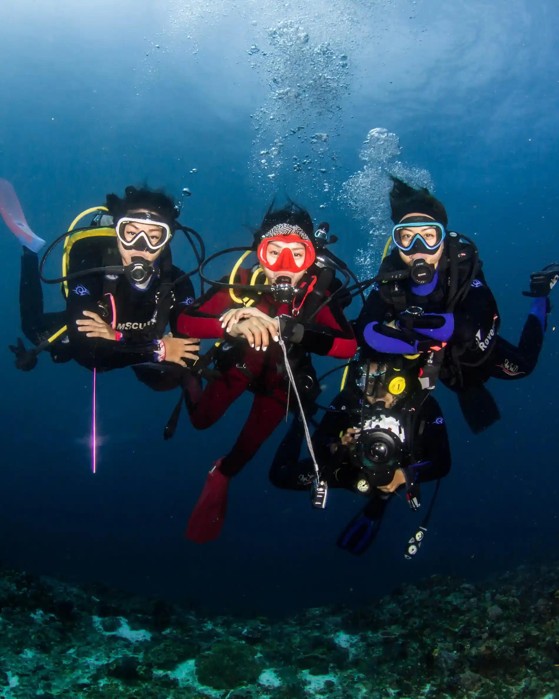 Diving Activity | Raja Ampat Tour | Komodo Island Tour | Komodo Luxury