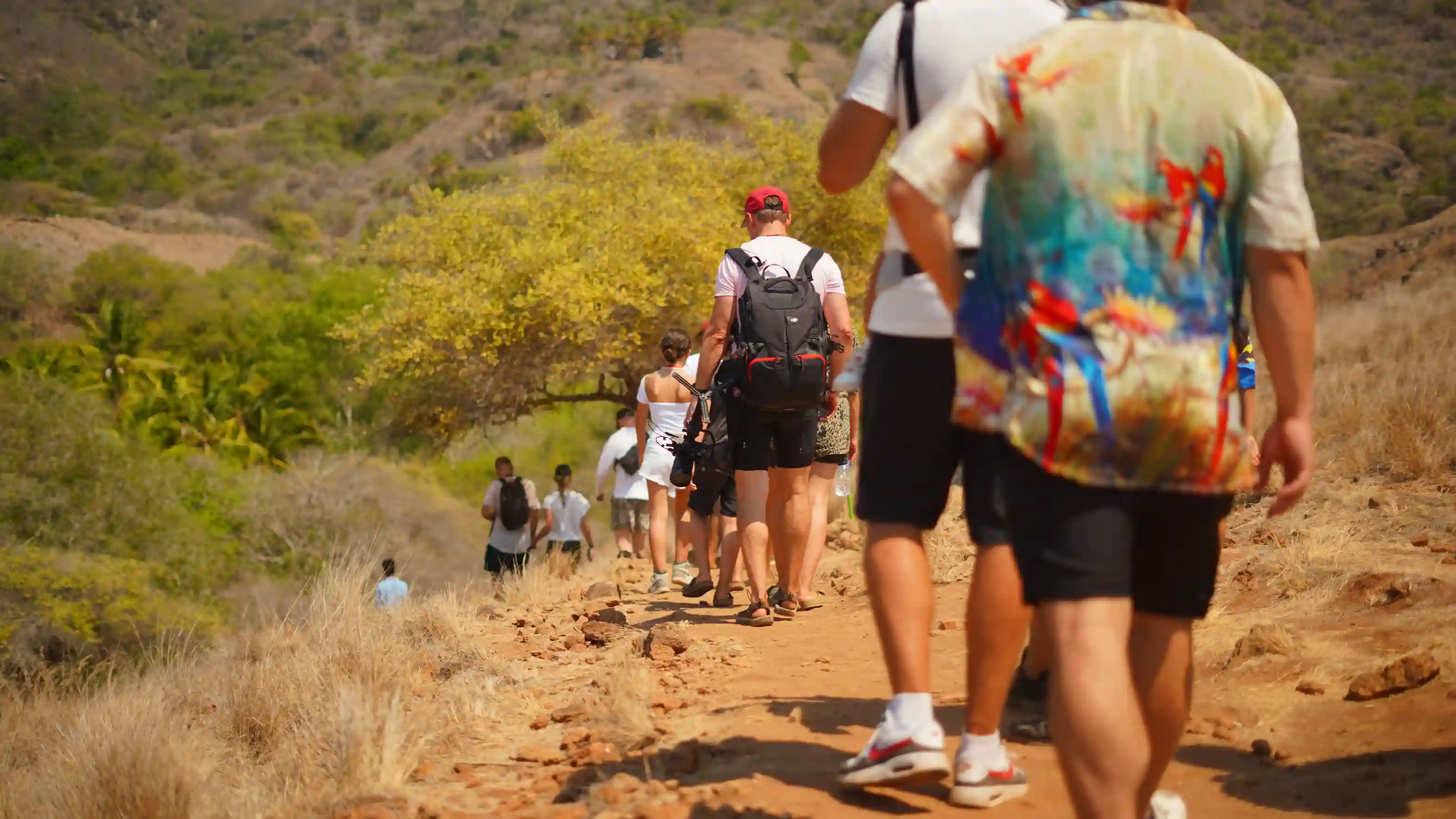 Komodo Island Trekking | Komodo Dragon Tour | Komodo Luxury