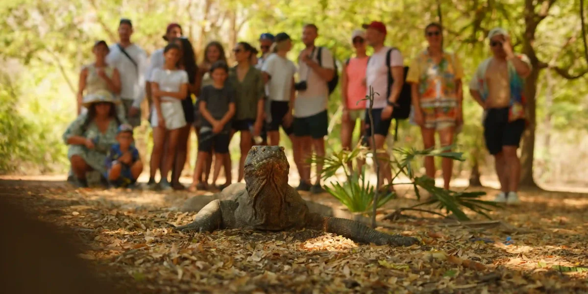 Ultimate Guide to Komodo Island Tours in 2025: Unforgettable Adventures in Komodo National Park