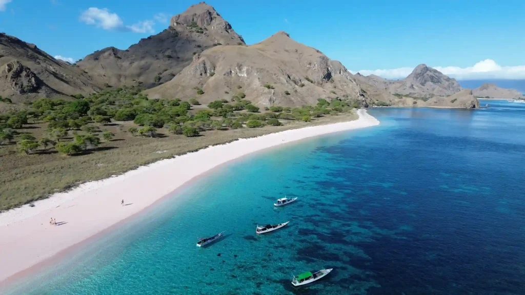 Pink Beach on Komodo National Park | Komodo Island | Komodo Tour