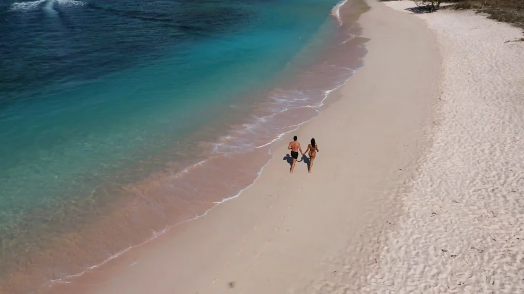 Pink Beach on Komodo National Park | Komodo Island | Komodo Tour