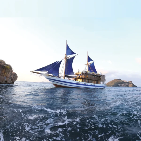 Radea Cruise Voyage Phinisi | Komodo National Park | Komodo Luxury