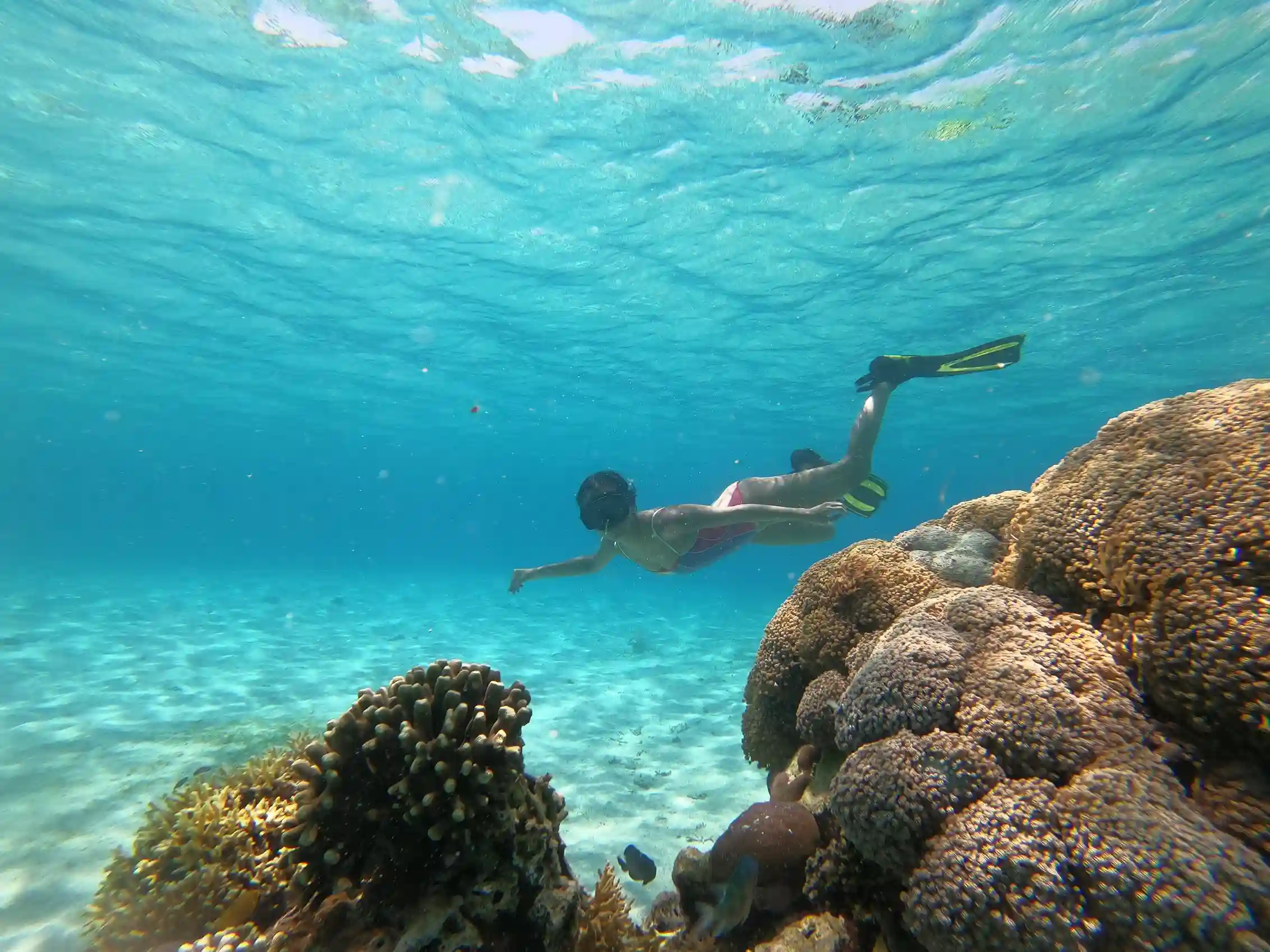 Siaba Island on Komodo National Park | Komodo Island | Labuan Bajo | Komodo Luxury