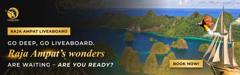 Banner Liveboard Raja Ampat | Komodo Luxury