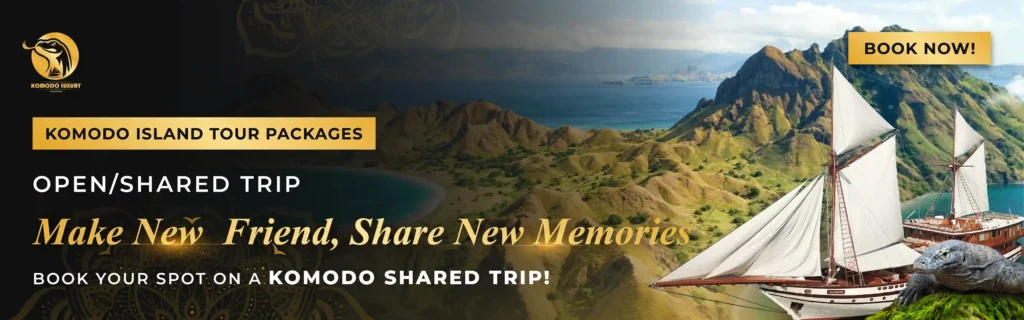 Header Banner Komodo Open/Share Trip | Komodo Luxury