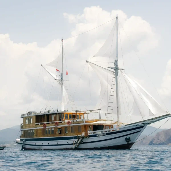 Komodo Shared Trip 3 Days 2 Nights 2025: 6 Best Boat Recommendations for Your Adventure