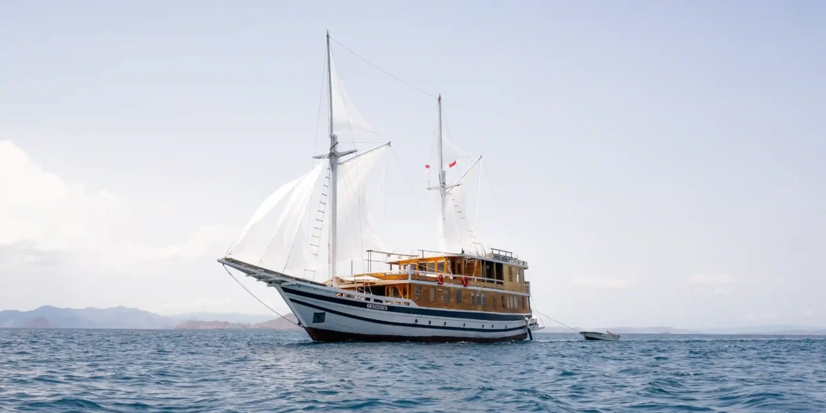 Catnazse Liveaboard Cruise | Komodo Tour | Komodo Luxury